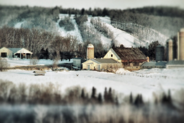 Détente hivernale - Céline Dion