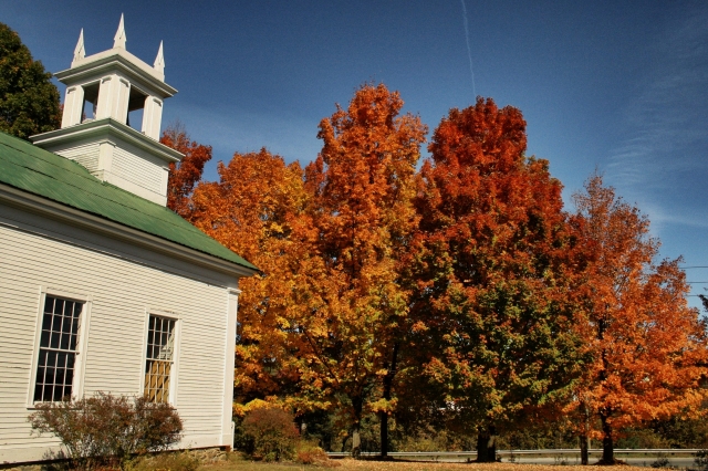 Sans discrimination de couleur - Céline Dion
